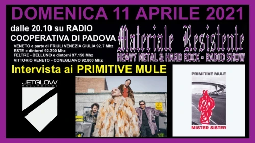 20210411primitivemule11.webp